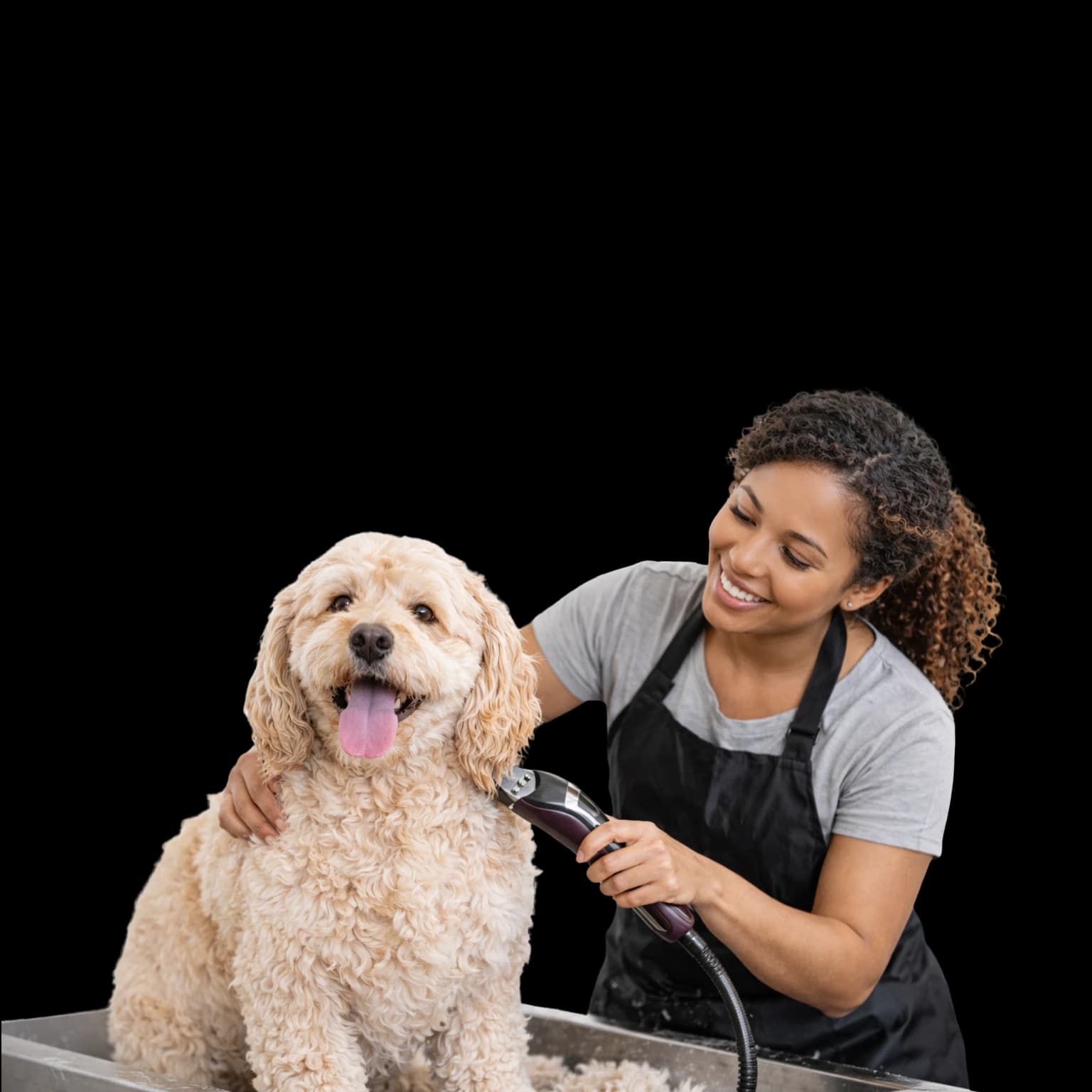 Sistema para Pet Shop com controle de estoque e vendas pelo WhatsApp
